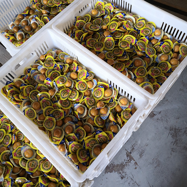 鵪鶉蛋拉伸膜真空包裝機(jī)整體沖效果圖 鵪鶉蛋拉伸膜真空包裝機(jī)整體沖效果圖